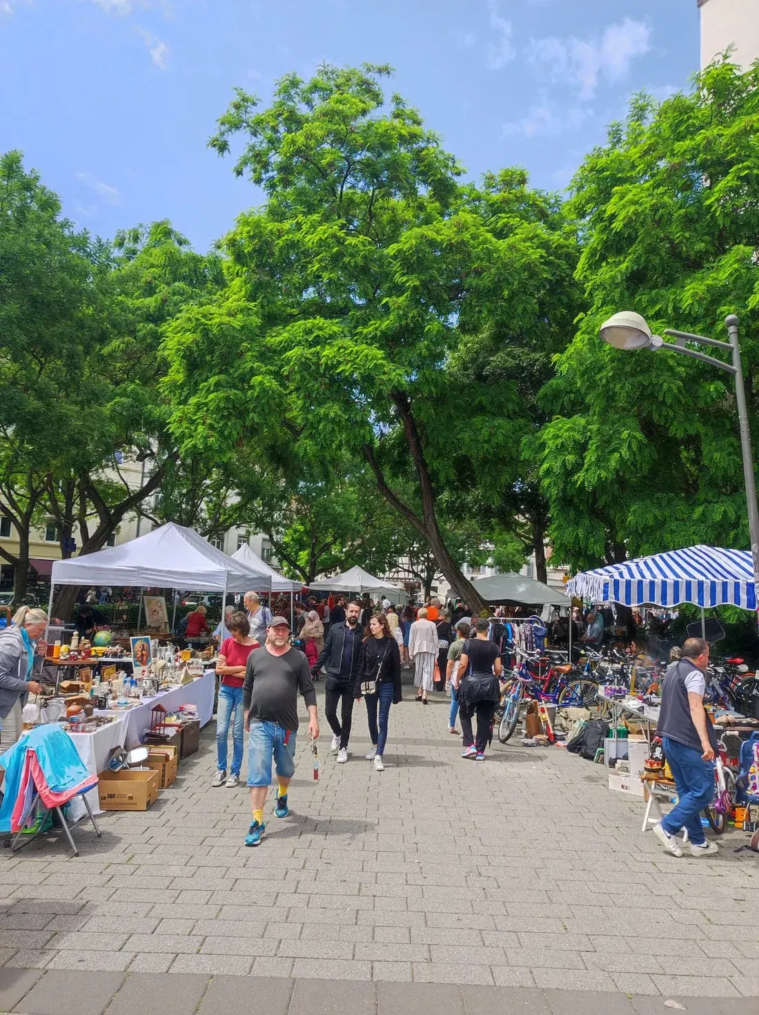 La 66e édition de Grande Braderie de Strasbourg arrive le 25 juillet 2026 