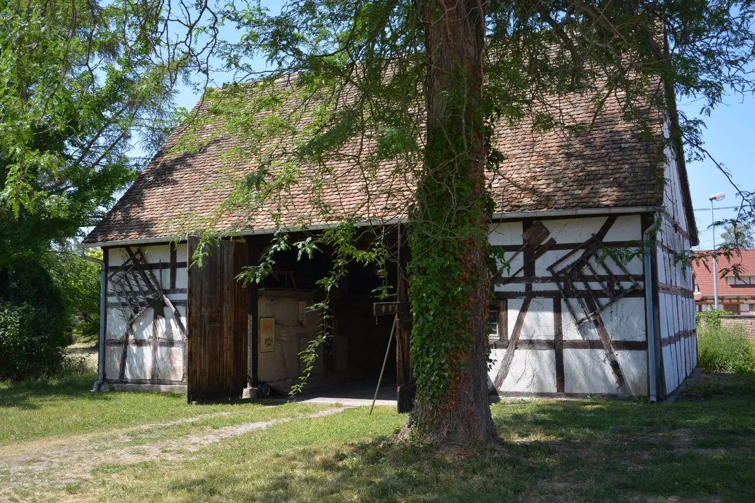 Vous pourrez passer à Sessenheim pendant le Schnàwel Tour