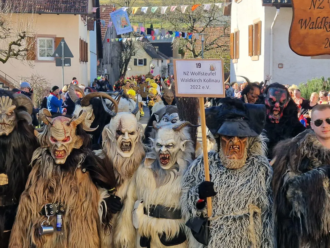 Le groupe Narrenzunft Wolfsteufel lors d'un précédent défilé