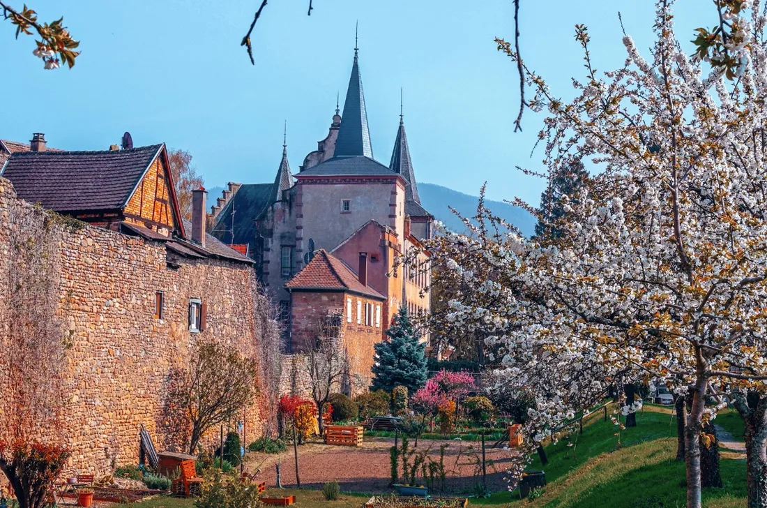 À l'image du village de Kientzheim, toute l'Alsace célèbre le printemps. 