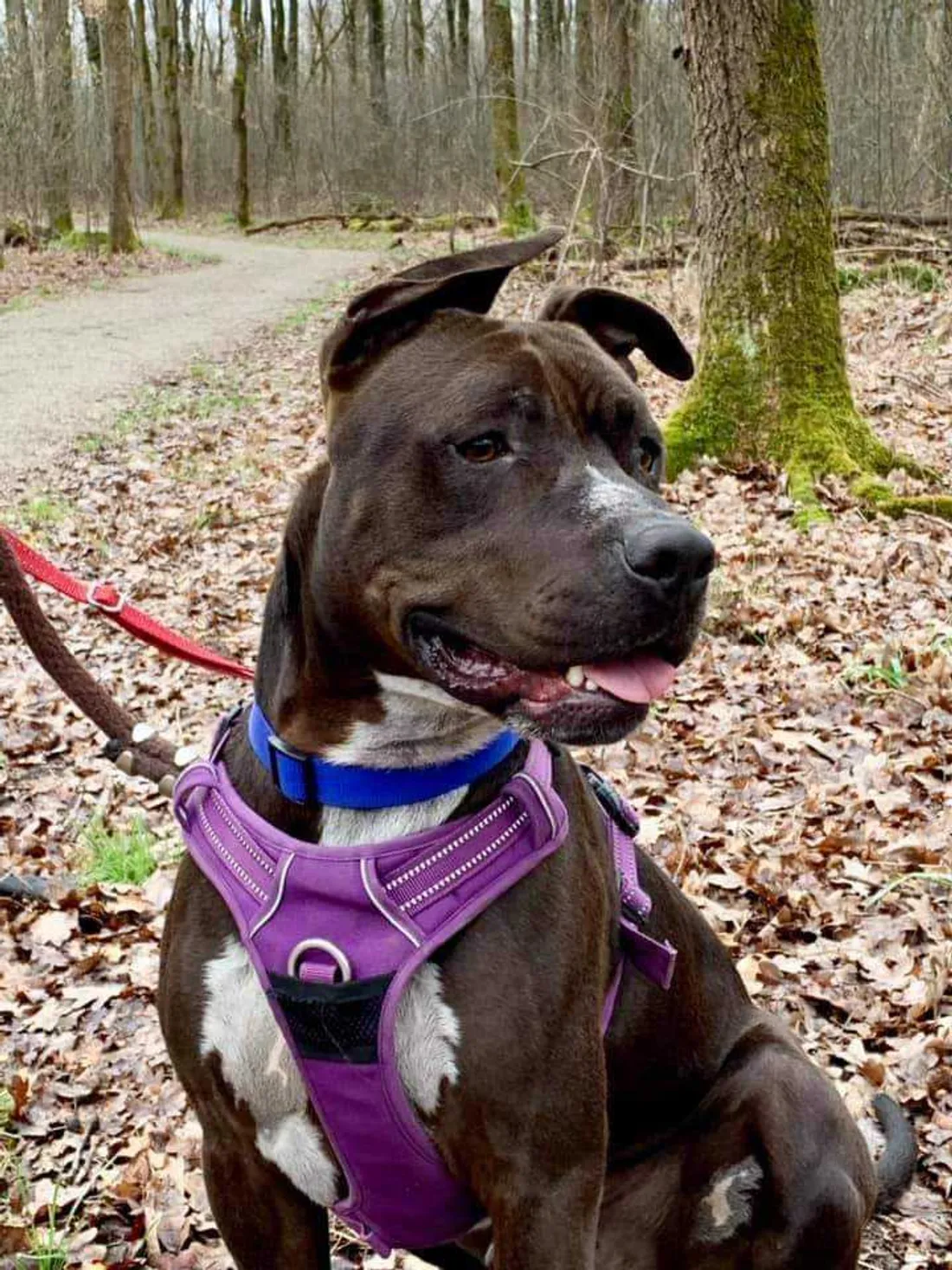 Et voici le jeune Paco