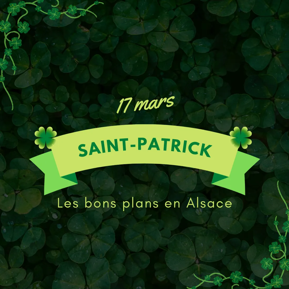 Qui aime fêter la Saint-Patrick... même en Alsace ?