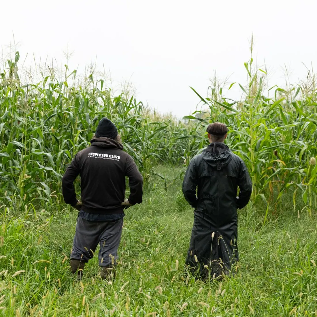 The Inspector Cluzo - Rock Noumatrouff