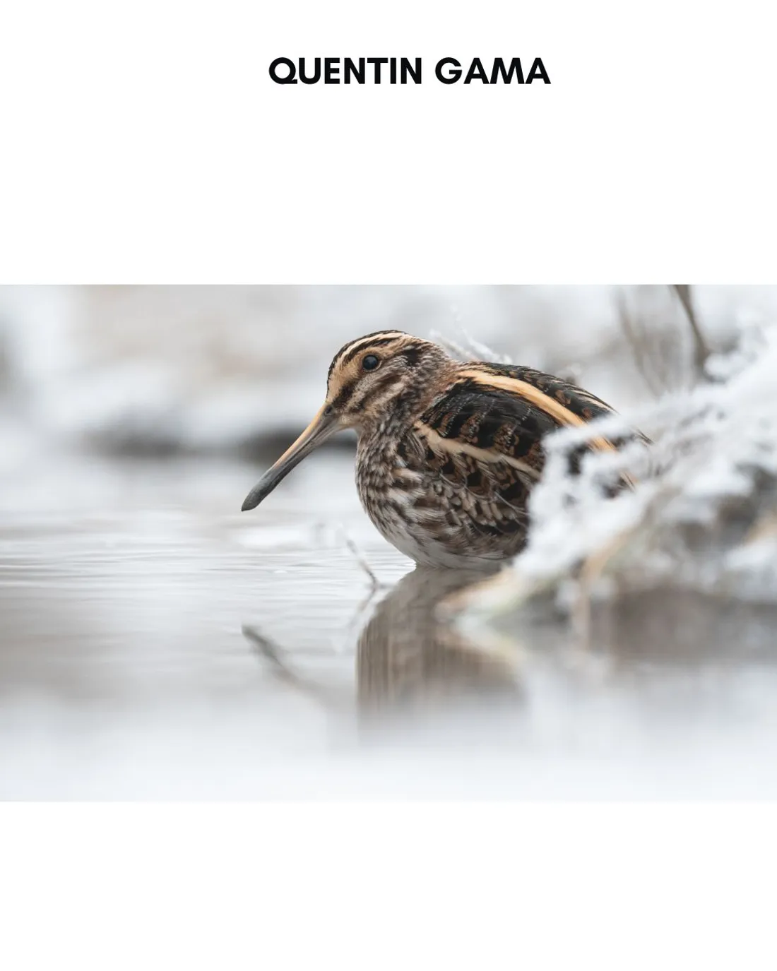 Quentin Gama exposera ses photos à Benfeld