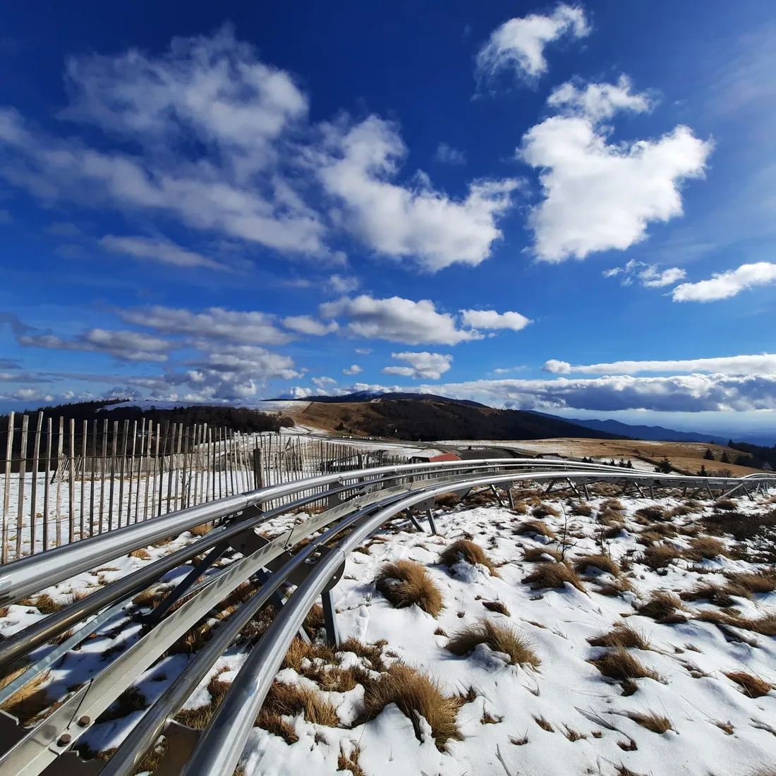 De la luge sur rails pour prendre un bol d'air frais au Markstein