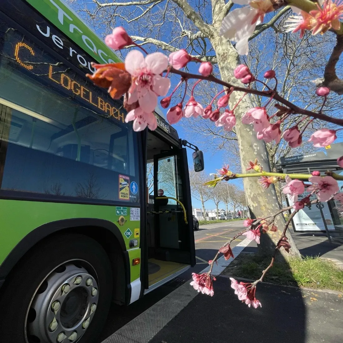 Votre CB pourra même faire office de ticket. 