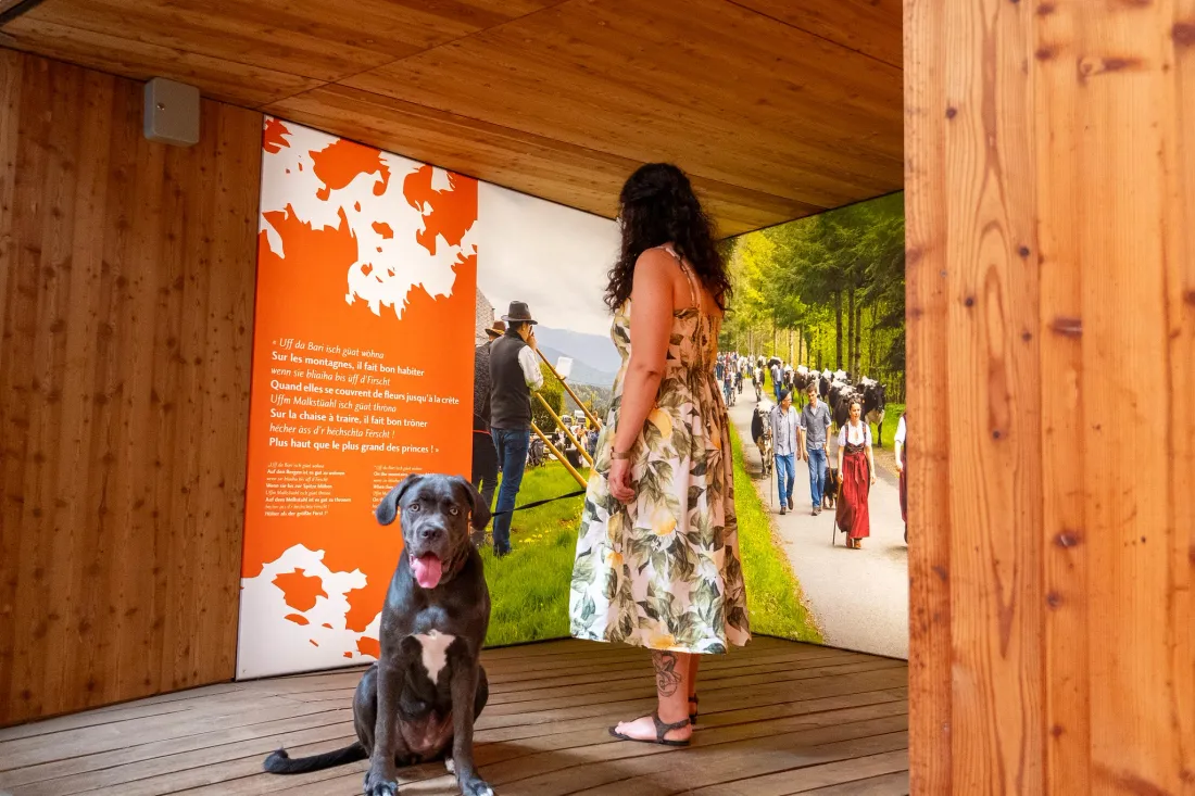 La Maison du fromage, dans la Vallée de Munster, accueille avec plaisir les chiens