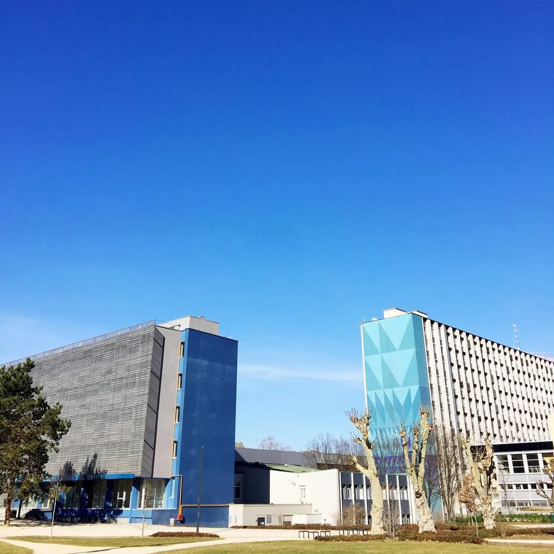 Strasbourg a été classée première ville préférée des étudiants en France