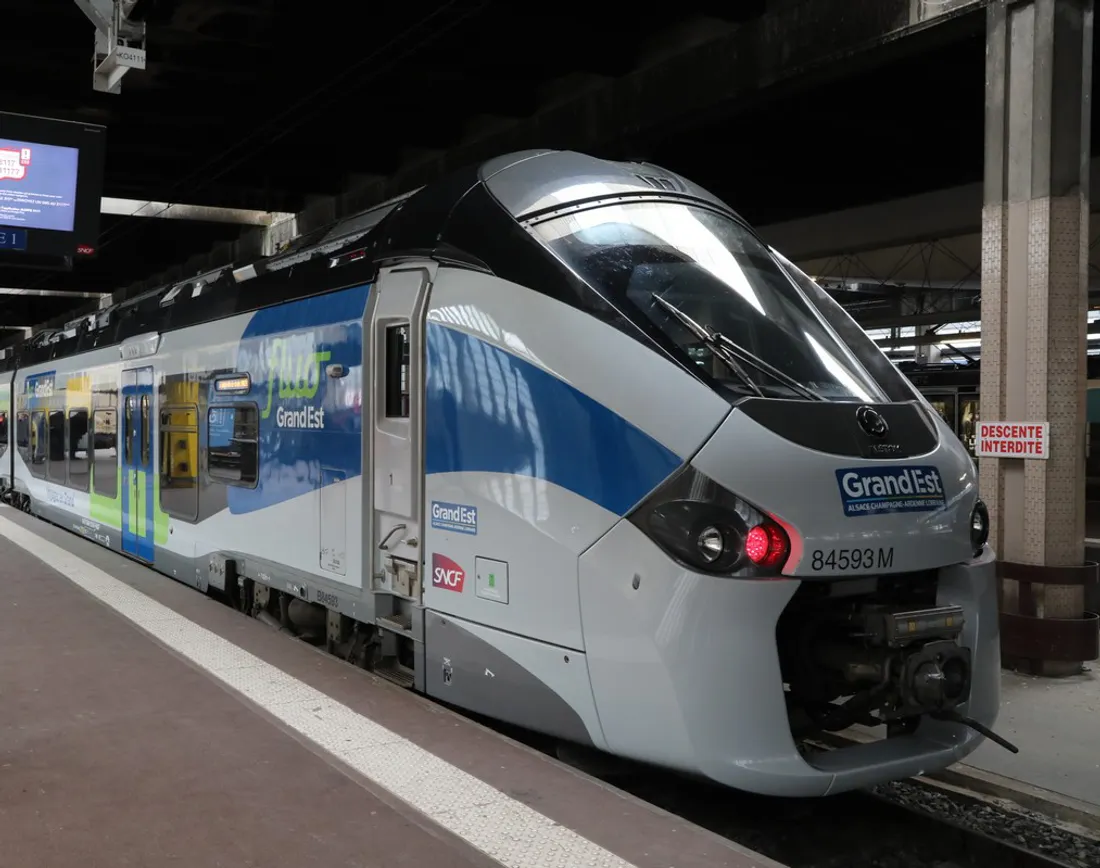 La journée de mobilisation contre la réforme des retraites va impacter le trafic des trains