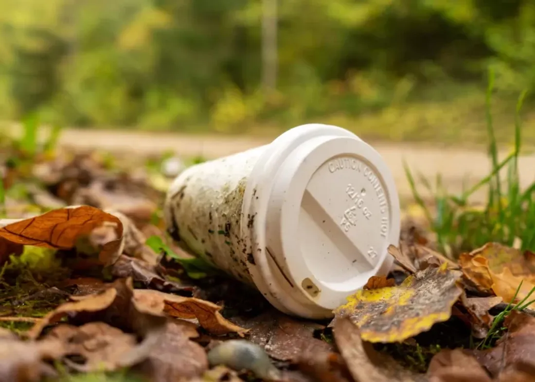 Avec l'Osterputz, stop aux déchets dans la nature