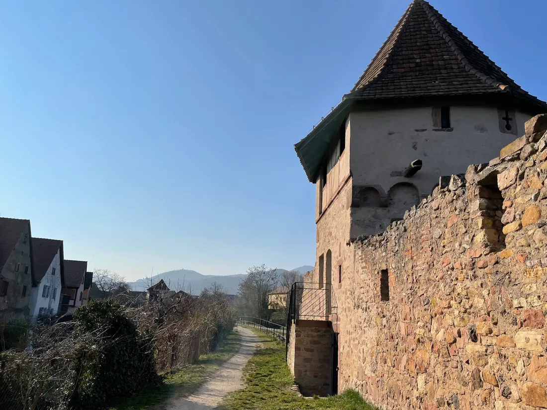 Bergheim est sélectionnée par l'émission Le Village préféré des Français 2022