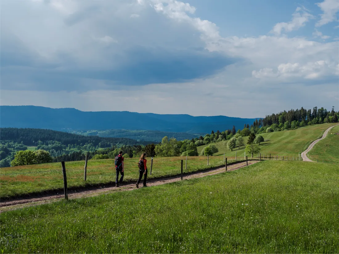   Lors du Printemps de la Forêt les 21 et 22 mai, venez découvrir la vallée de la Bruche