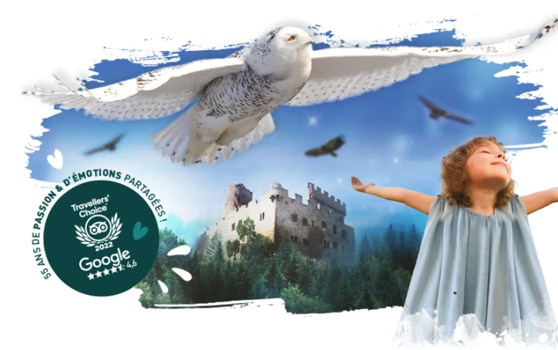 La Volerie des Aigles 