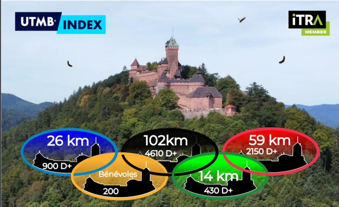 Ultra Trail Haut-Koenigsbourg®