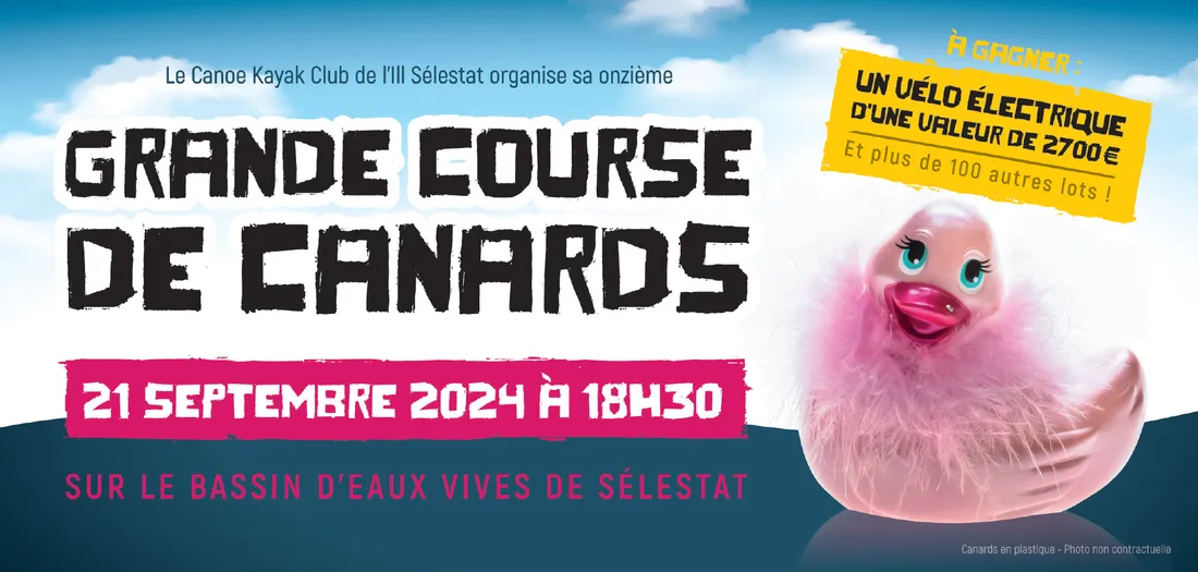 Grande Course de Canards