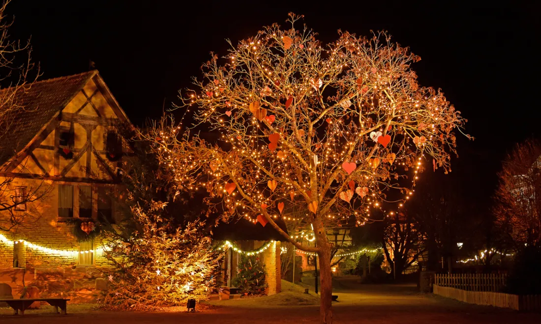 Ecomusée Noël 2024