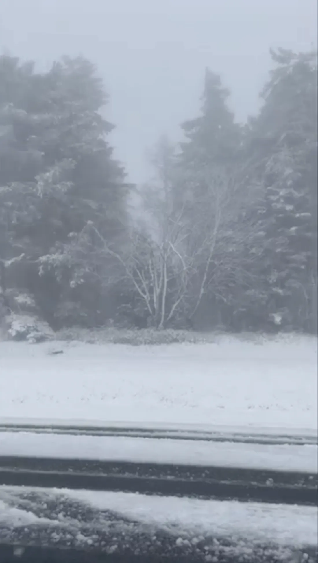 Au Champ du feu ce mardi 25 avril au matin...
