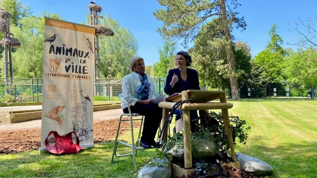 La ville de Strasbourg a présenté son plan d'actions en faveur des animaux le 3 mai. 