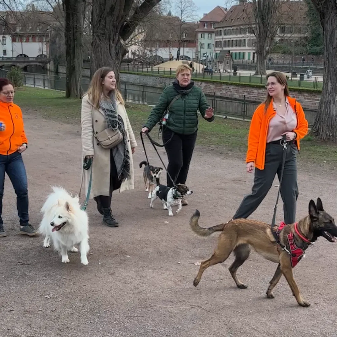 La balade du 14 février avec Patch Gard et Terre des Chiens.