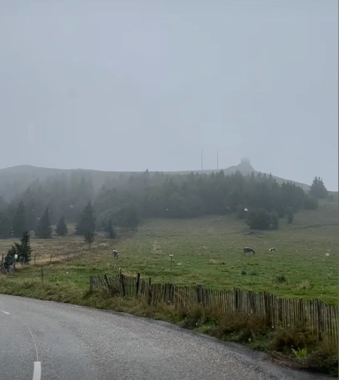 La quantité ne permet pas de faire de bonhomme de neige, mais l'or blanc est bien tombé ce jeudi