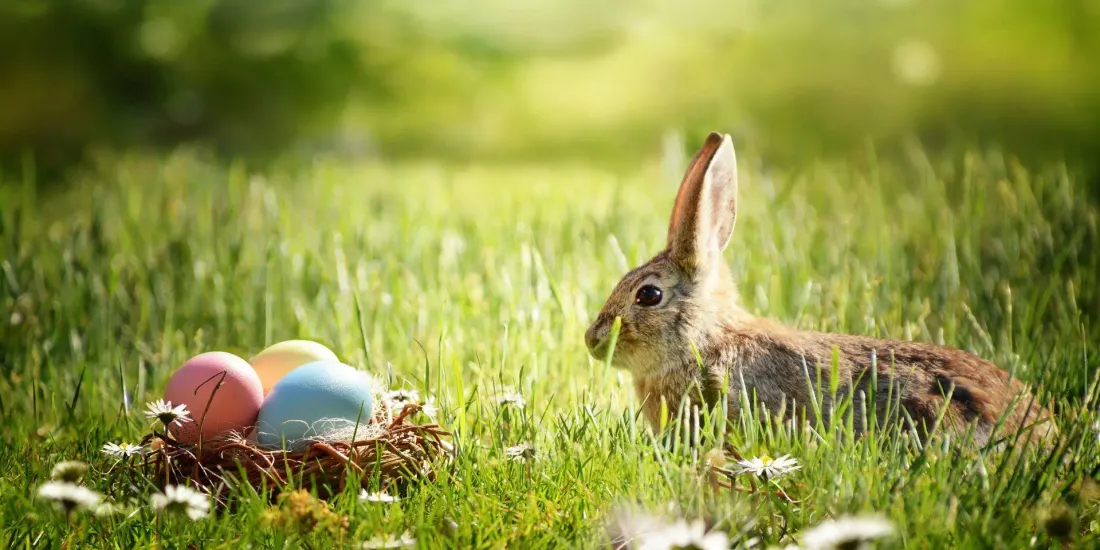 Pour une belle sortie familiale en pleine nature