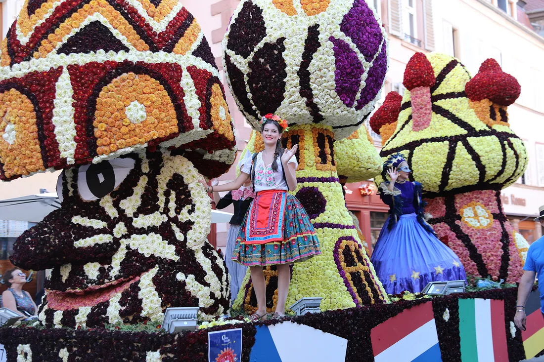 Le Corso fleuri de Sélestat se prépare 