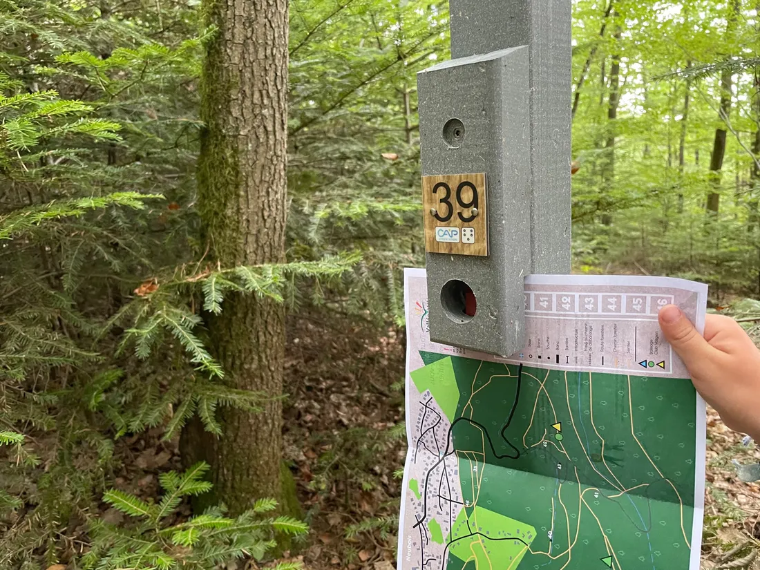 La nouvelle course d'orientation est lancée à Neubois