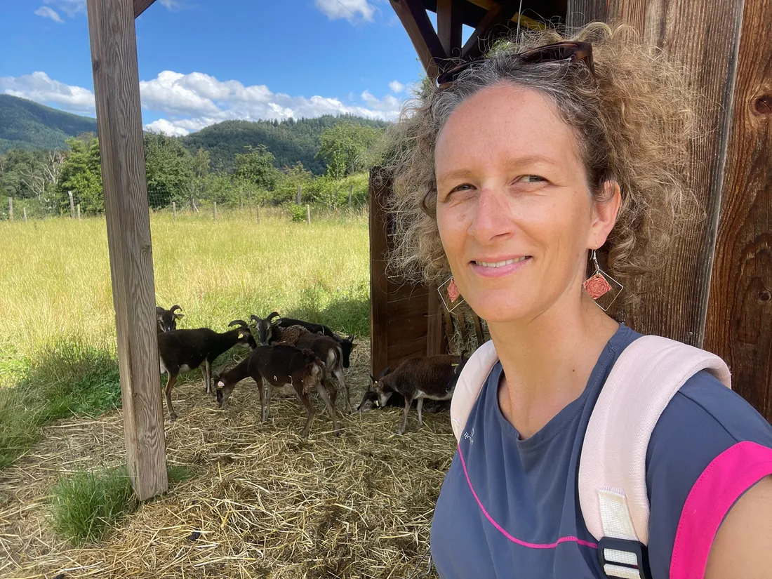 Une jolie promenade à la Ferme d'Argentin à Lièpvre