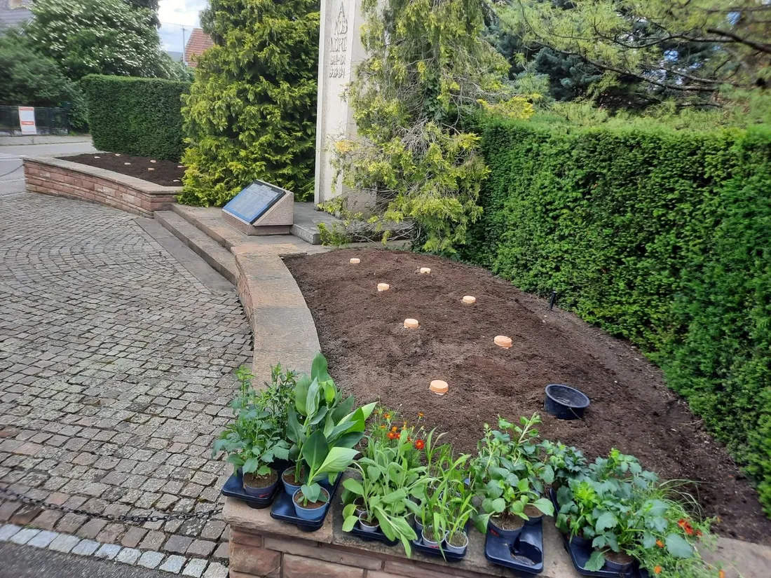 A Dalhunden les oyas ont pris place près du monument aux Morts