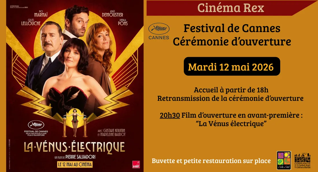 rex cinéma benfeld