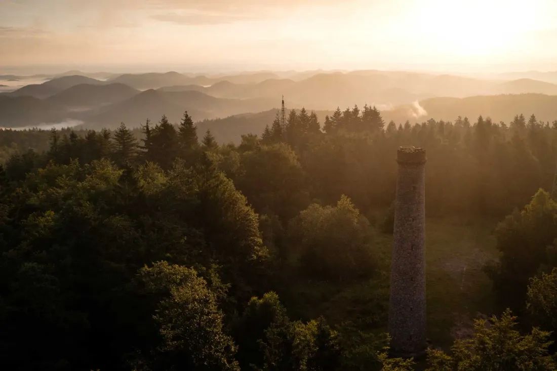 La Tour panoramique du Grand Wintersberg  est à découvrir cet été