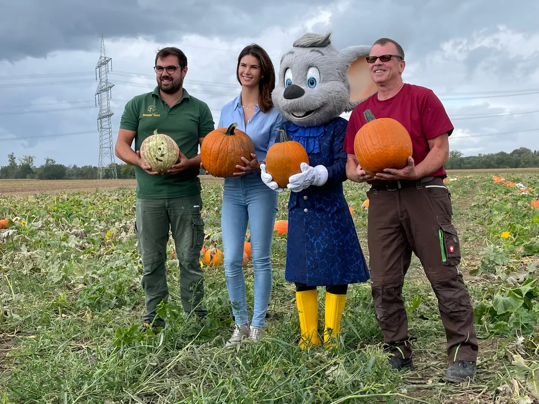 La saison Halloween débute dans un champ à Europa-Park