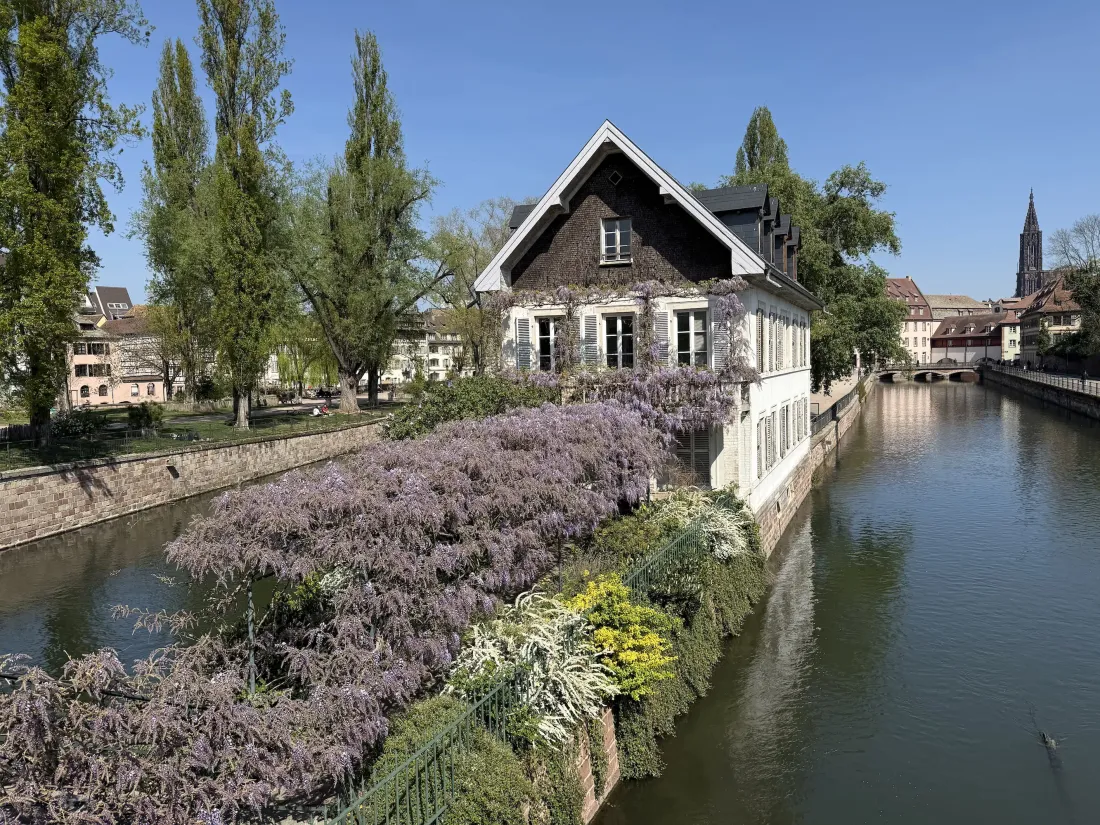 Strasbourg, toujours plus impliquée dans le tourisme durable