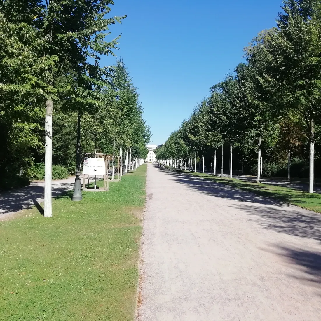 Les allées sont quasi désertes au Parc de l'Orangerie de Strasbourg