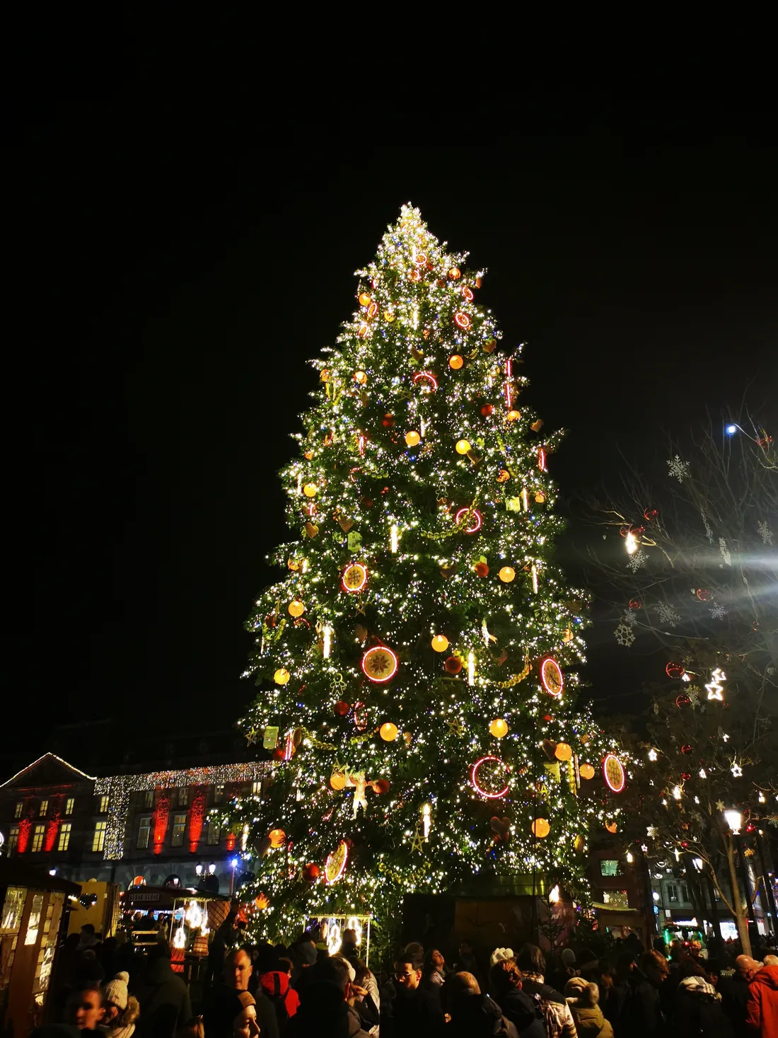 Le sapin de l'édition 2023