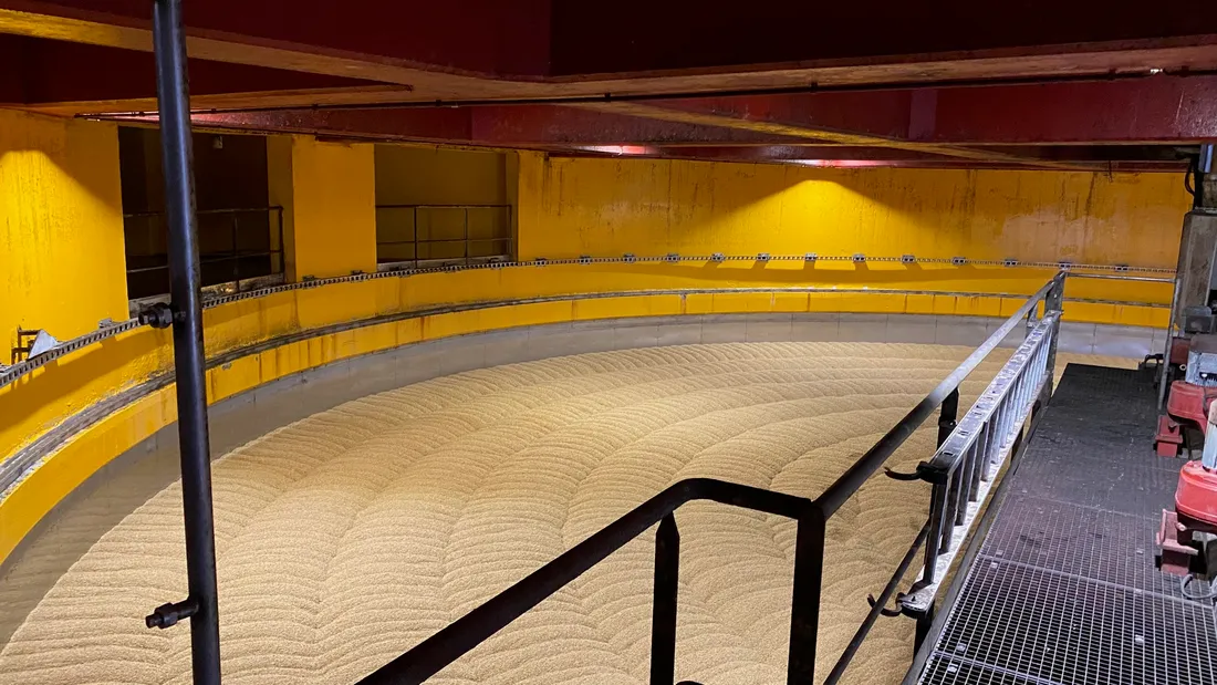 Chez Malterie Soufflet, l'orge est transformé en malt au terme d'un processus de 9 jours. 
