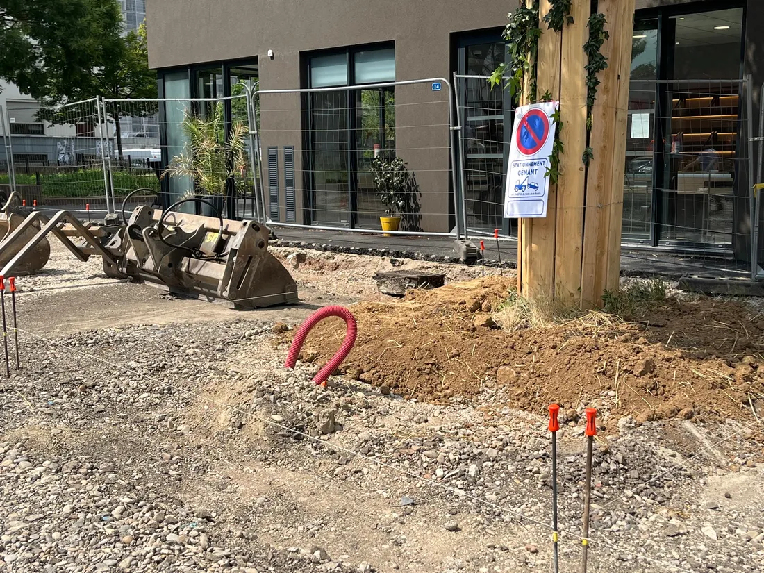 Dans certaines zones de travaux, les mesures de protection des arbres sont déjà appliquées