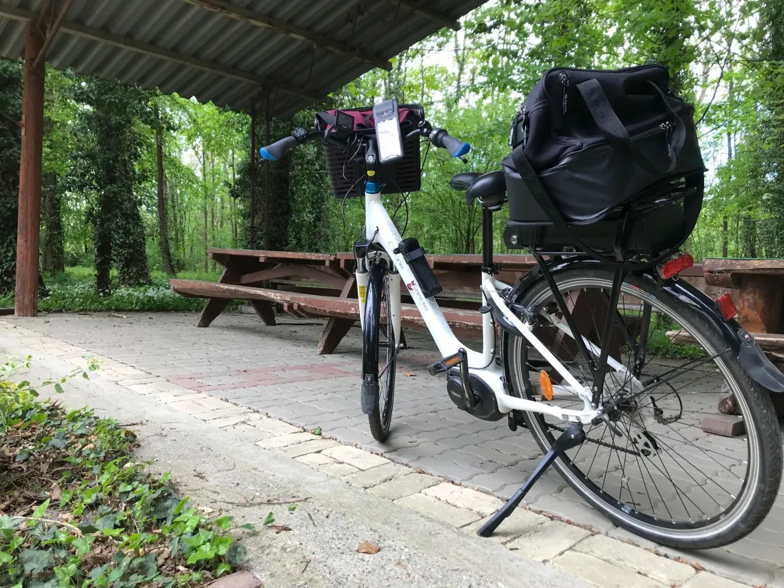 De jolies balades sont à faire en famille dans toute l'Alsace