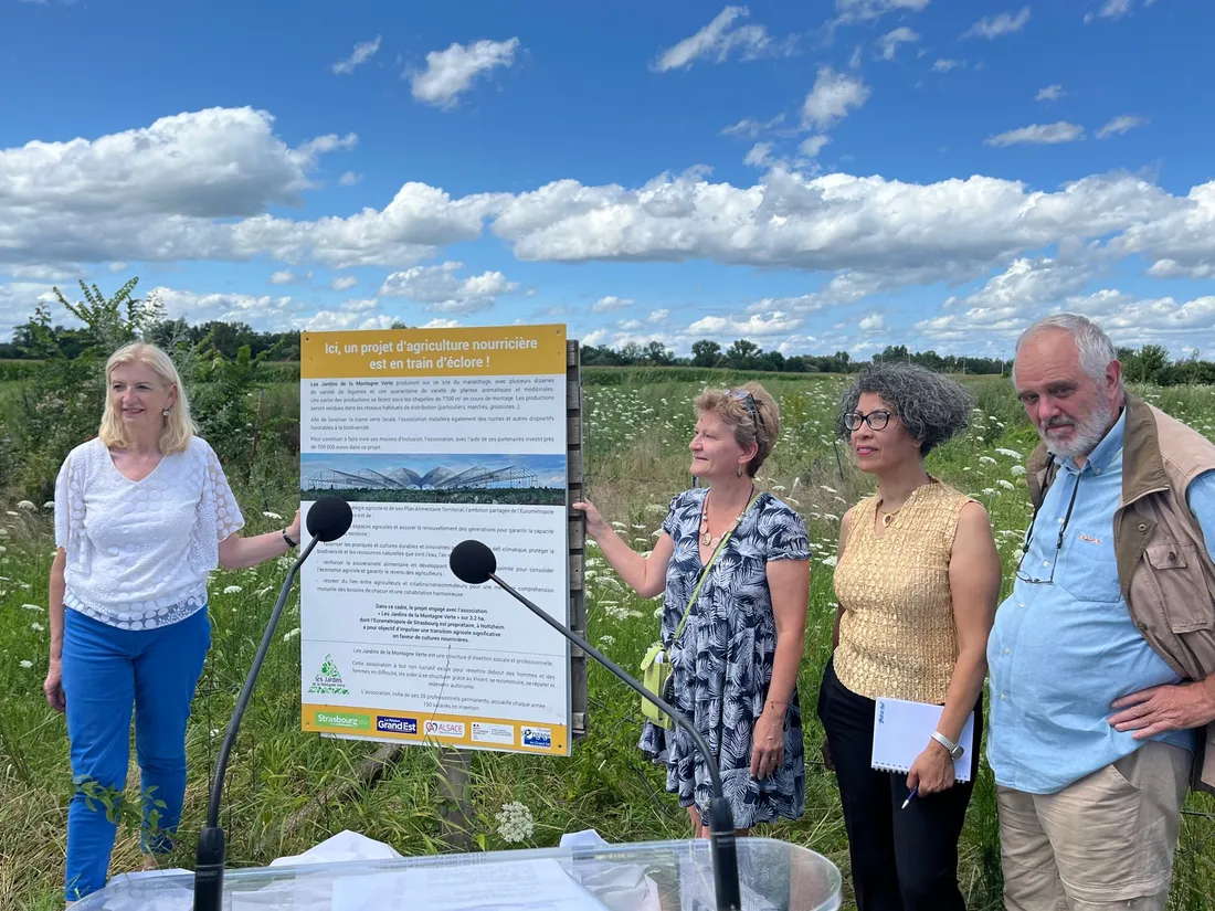 Les Jardins de la montagne verte cultiveront des fruits, légumes bio et des plantes sur le terrain 