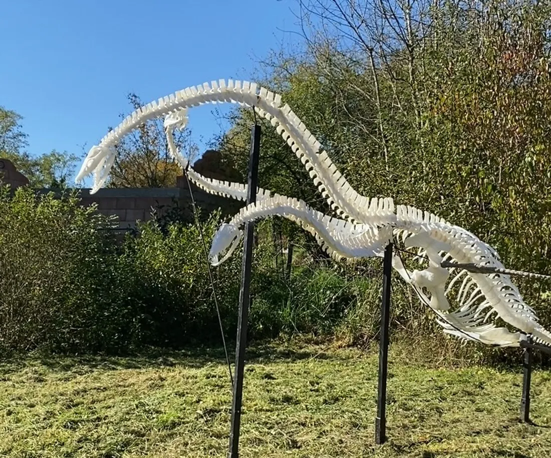 Le Parc de Sainte-Croix propose des activités sur les dinosaures !