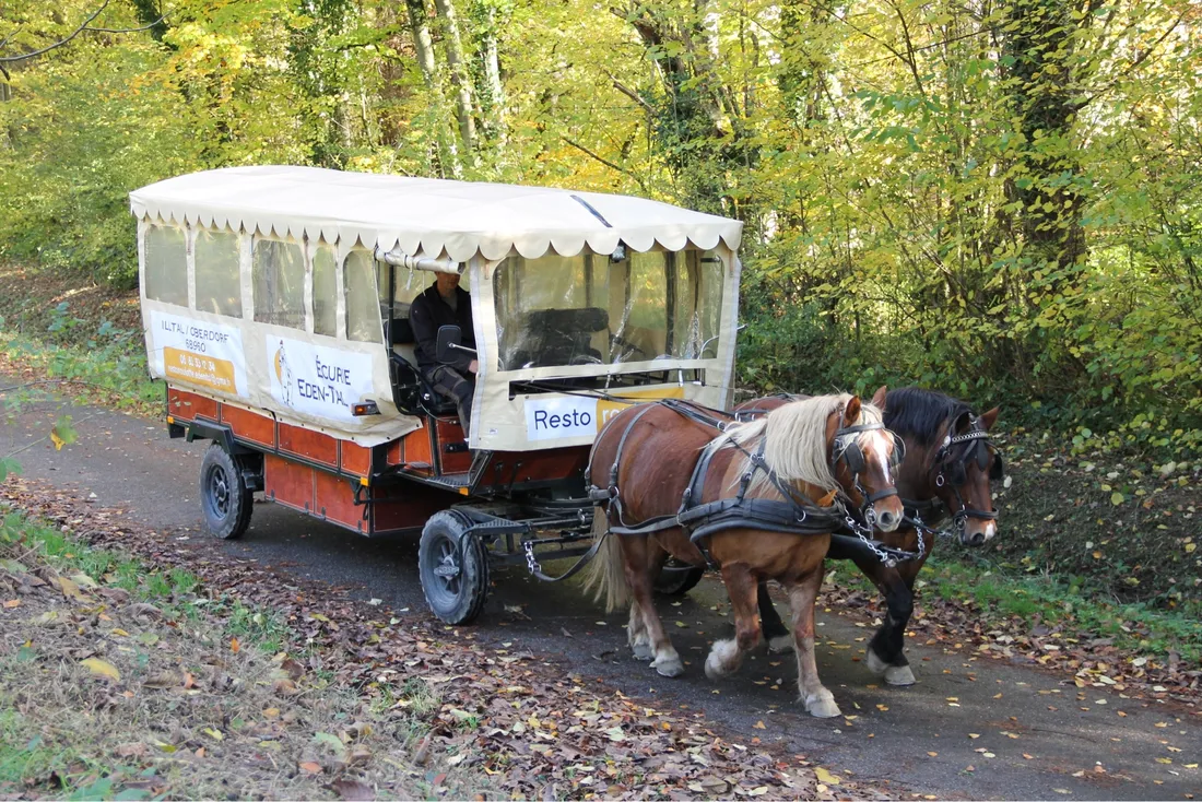 Le resto roulotte peut accueillir jusqu'à 12 personnes 