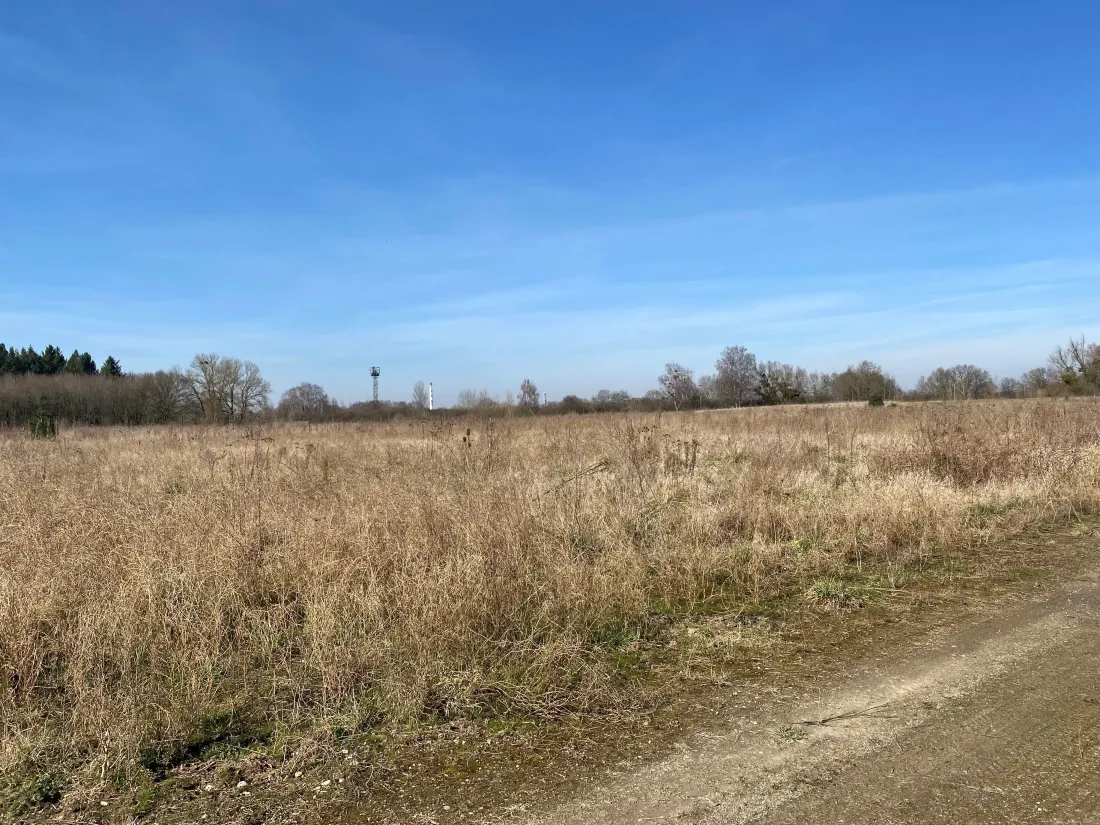 10 000 panneaux photovoltaïques seront installés sur ce terrain, à Reichstett.