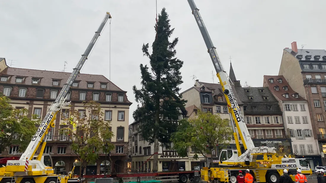 Le sapin de 30m de haut a été installé sur la place Kléber.