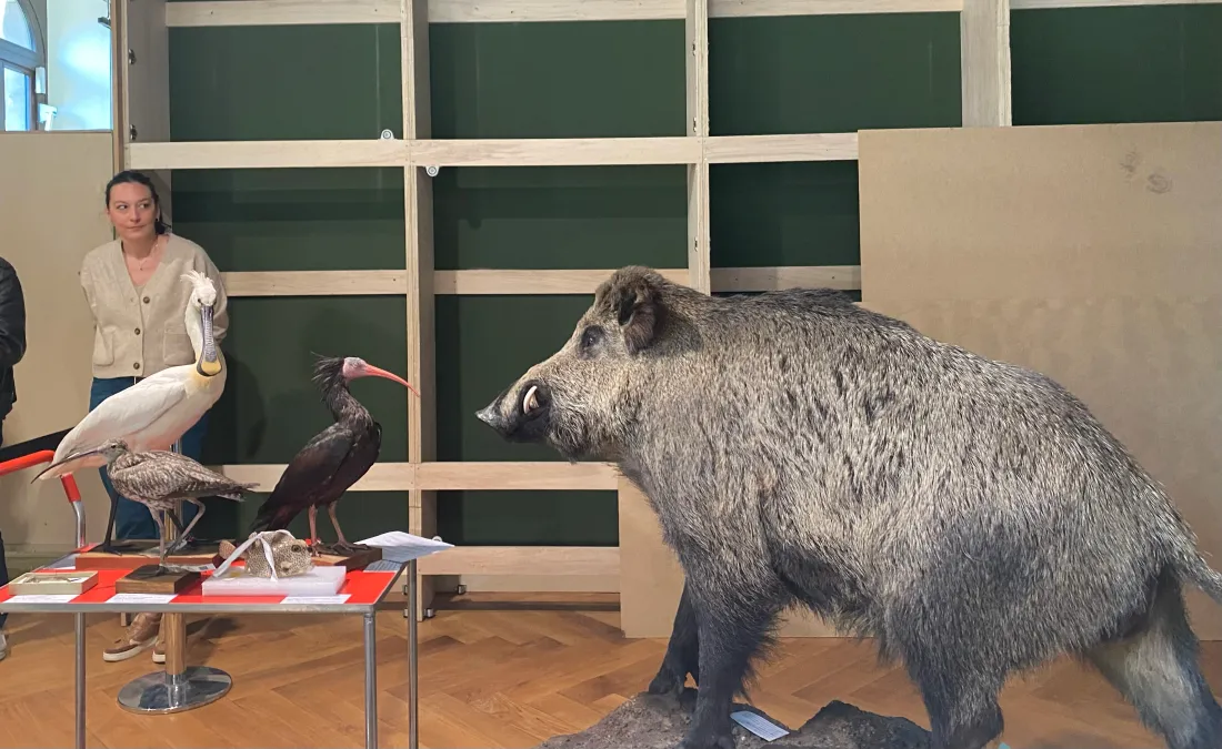 Le musée est encore en chantier.