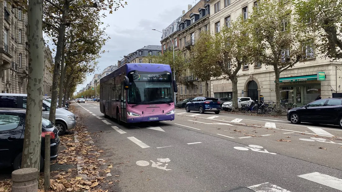 L'avenue des Vosges au coeur d'un projet ambitieux.