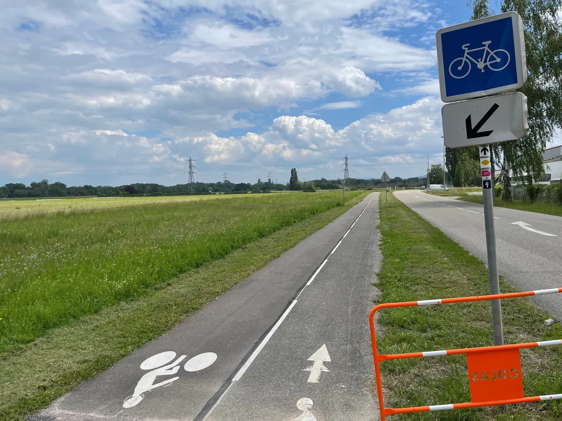 Les cyclistes ont l'embarras du choix dans le Grand Ried