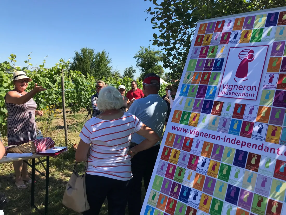 Dans les vignes ou à la cave, le Vigneron indépendant vous accueillera ce week-end
