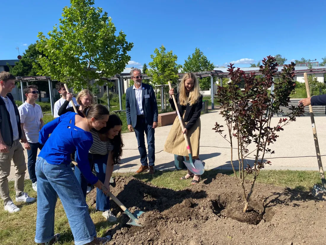 Les derniers coups de pelles des travaux de la cour du lycée Marcel Rudloff !