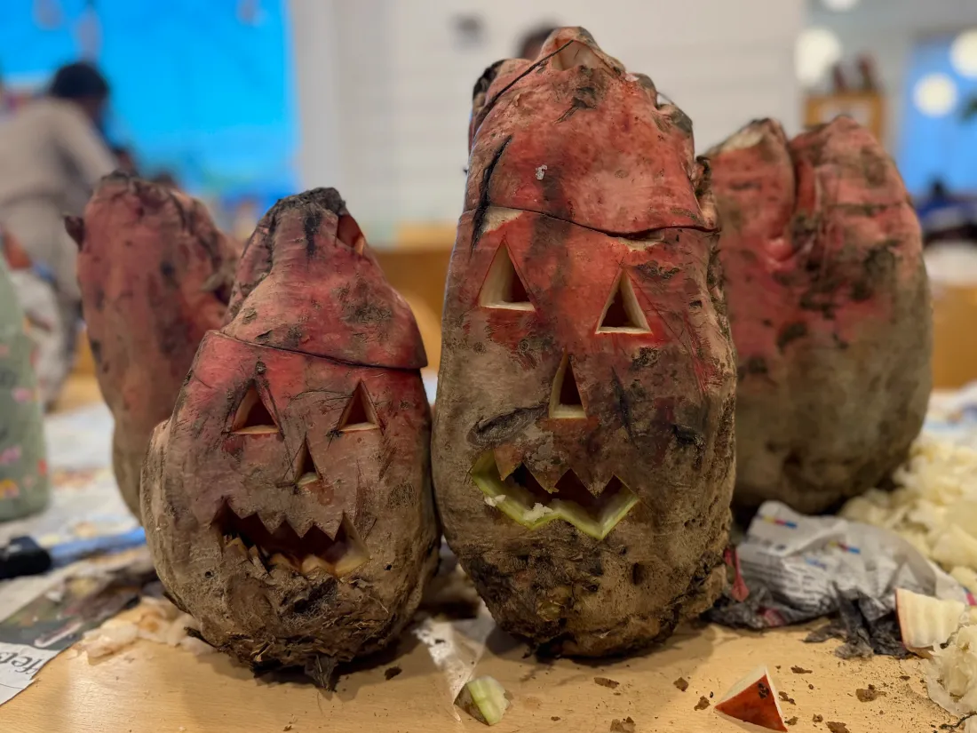 La tradition alsacienne de la Toussaint consiste à sculpter des légumes géants