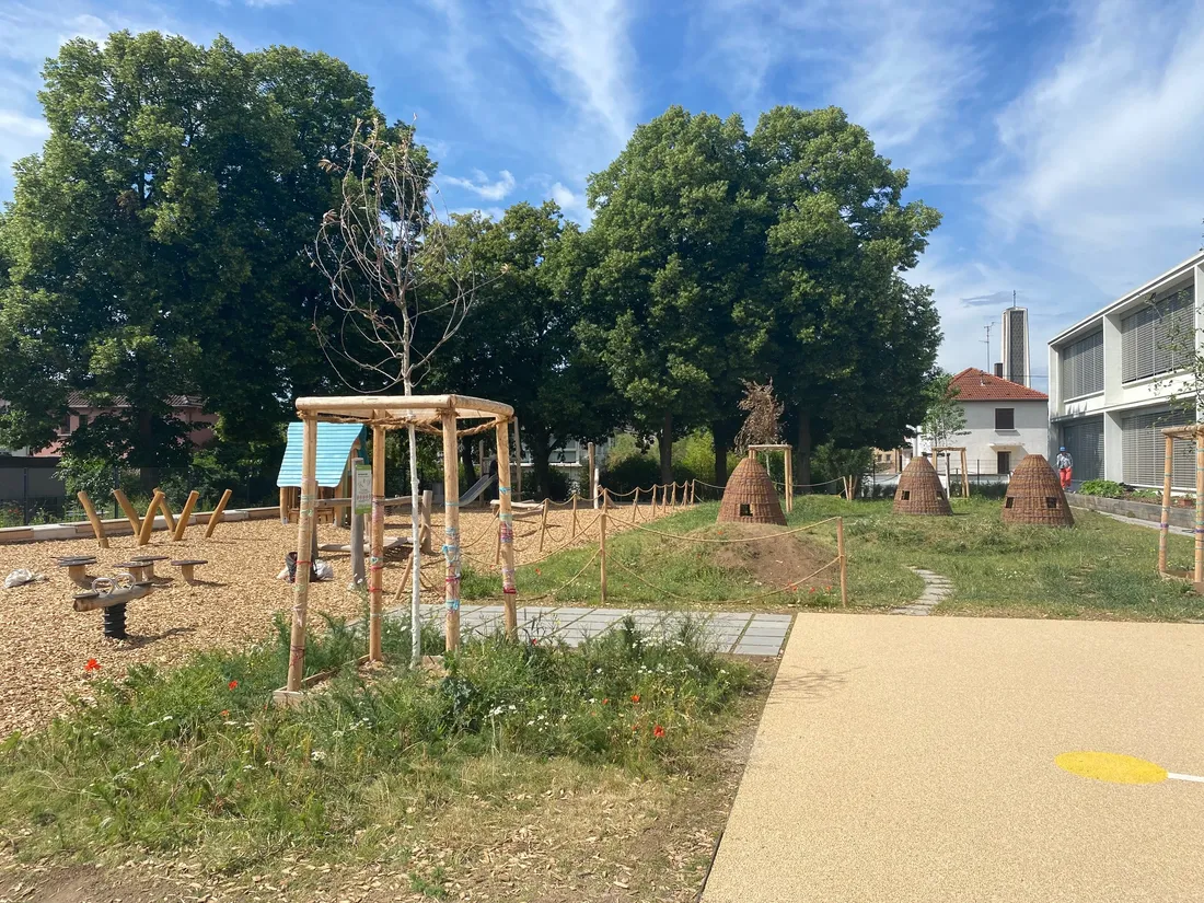 A l’école maternelle Gustave Doré à Strasbourg, la cour se transforme et se végétalise.